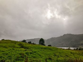 Scenic view of landscape against sky