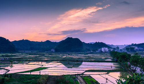 Scenic view of agricultural field against sky during sunset