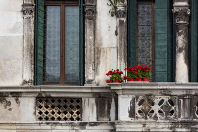 Red flowers. red flowers on an old balcony without people. ancient balcony in venice, italy.