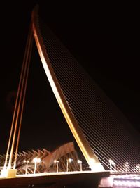 Low angle view of illuminated ferris wheel against sky at night