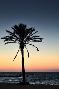 Silhouette palm tree by sea against sky at sunset