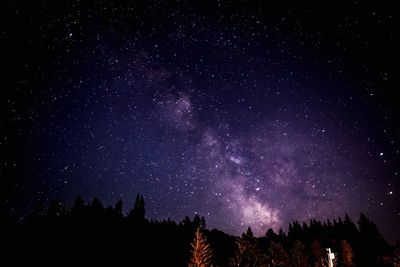 Low angle view of star field against star field