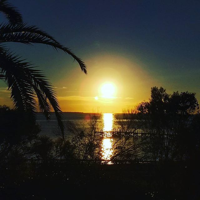 sunset, sun, horizon over water, tranquil scene, water, scenics, sea, tranquility, beauty in nature, orange color, silhouette, nature, sky, idyllic, reflection, beach, sunlight, tree, shore, outdoors