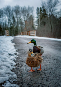 Mapleton naturalpark moncton nb