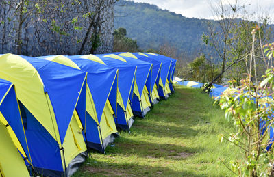 Row of umbrellas on field against trees