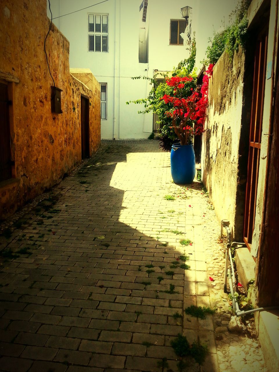 building exterior, architecture, built structure, the way forward, house, alley, residential structure, residential building, street, cobblestone, potted plant, building, narrow, walkway, plant, wall - building feature, footpath, day, wall, city