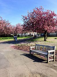 View of people in park