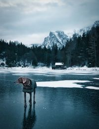Full length of person standing in lake against sky during winter