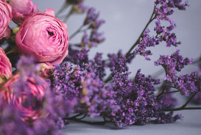 Close-up of pink flowering plant