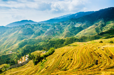 Scenic view of agricultural field against sky