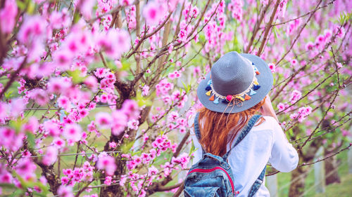 Low section of woman standing by pink flower tree