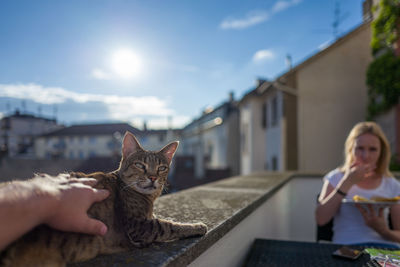 Portrait of cat on balcony