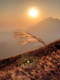 Scenic view of land against sky during sunset