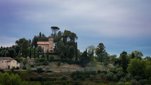 Trees and buildings against sky