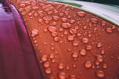Close-up of raindrops on leaf
