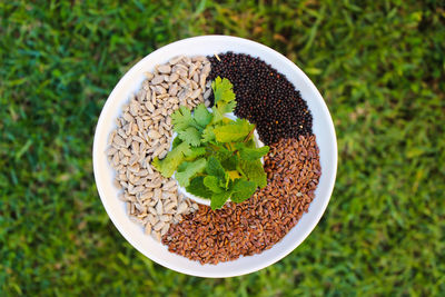 High angle view of seeds in a bowl