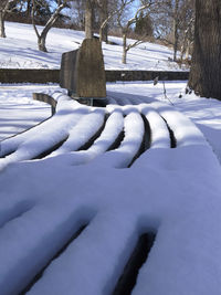 Frozen trees on snow covered landscape
