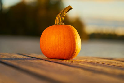 Close-up of pumpkin on table