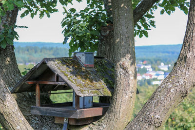 Close-up of birdhouse on tree trunk