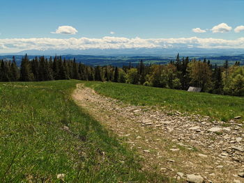 Scenic view of field against sky