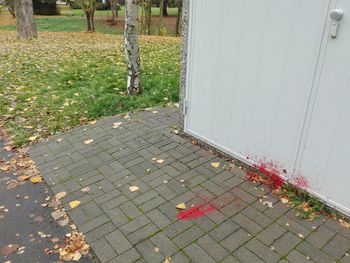 View of sidewalk