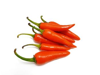 Close-up of red chili peppers against white background