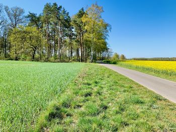 Scenic view of field against clear sky