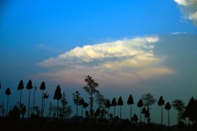 Low angle view of silhouette trees against sky
