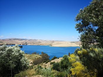 Scenic view of sea against clear blue sky