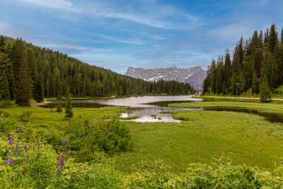 View of lake misurina is the largest natural lake of the cadore.