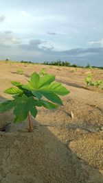 Scenic view of land against sky