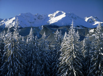 Scenic view of snowcapped mountains against clear sky