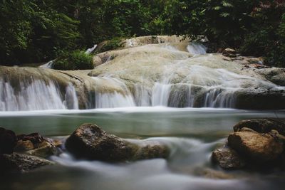 Scenic view of waterfall in forest