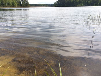 Scenic view of lake