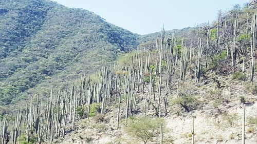 Scenic view of mountains against clear sky