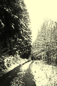 Road passing through snow covered landscape