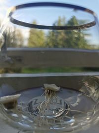 Close-up of water in glass on table