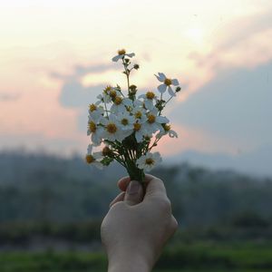 Close-up of hand holding flowers against sky