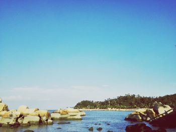 Scenic view of river against clear blue sky