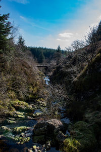 Scenic view of rocks in forest against sky