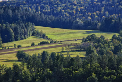 Scenic view of agricultural field