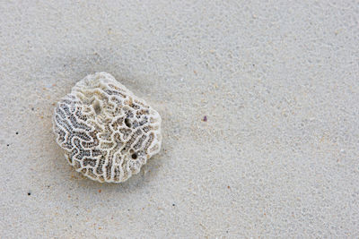 High angle view of heart shape on sand