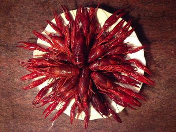 High angle view of red chili on table
