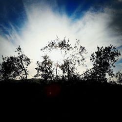 Silhouette of trees against sky at sunset