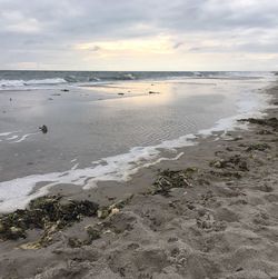 Scenic view of beach against sky