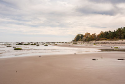 Scenic view of beach against sky