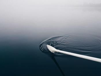 Cropped image of white oar in lake