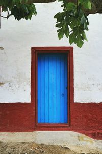 View of house with green plants