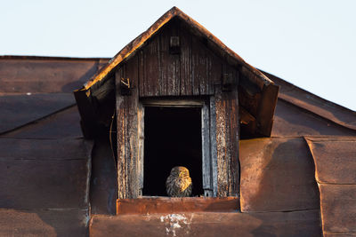 Low angle view of an abandoned building against sky