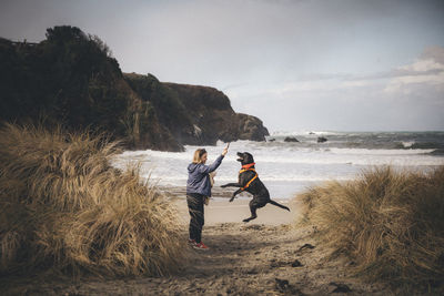 A woman with an infant is playing with a dog on the californian beach